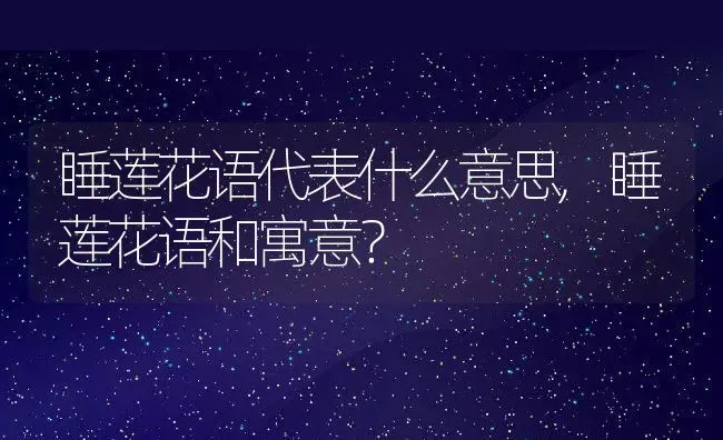 睡莲花语代表什么意思,睡莲花语和寓意？ | 养殖常见问题