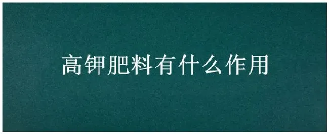 高钾肥料有什么作用 | 三农答疑