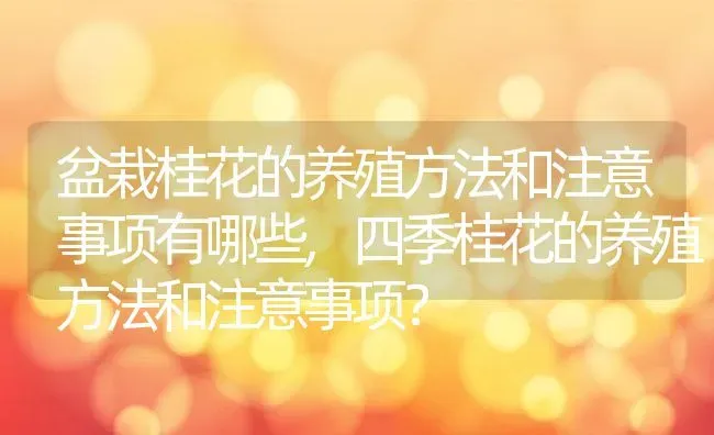 盆栽桂花的养殖方法和注意事项有哪些,四季桂花的养殖方法和注意事项？ | 养殖常见问题