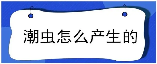 潮虫怎么产生的 | 生活常识