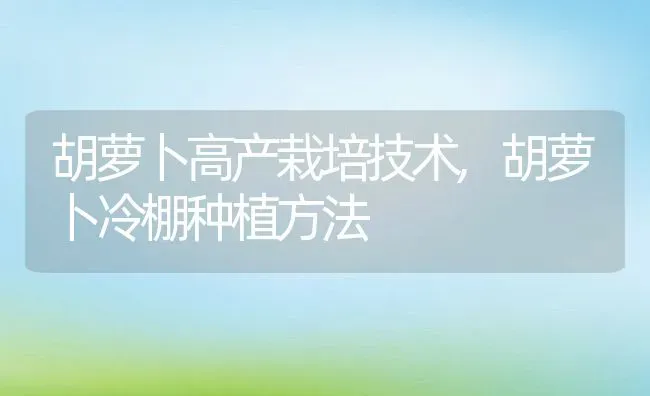 胡萝卜高产栽培技术,胡萝卜冷棚种植方法 | 养殖常见问题