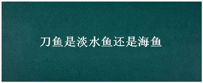 刀鱼是淡水鱼还是海鱼 | 农业问题