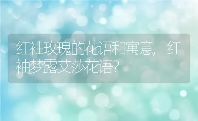 红袖玫瑰的花语和寓意,红袖梦露艾莎花语？ | 养殖常见问题