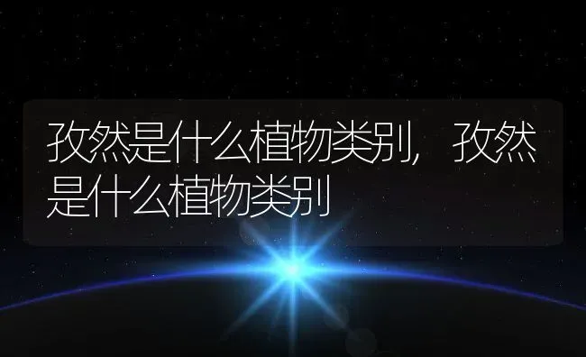 孜然是什么植物类别,孜然是什么植物类别 | 养殖常见问题