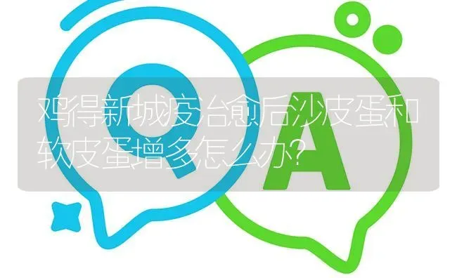 鸡得新城疫治愈后沙皮蛋和软皮蛋增多怎么办? | 养殖问题解答