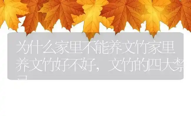 为什么家里不能养文竹家里养文竹好不好,文竹的四大禁忌 | 养殖常见问题
