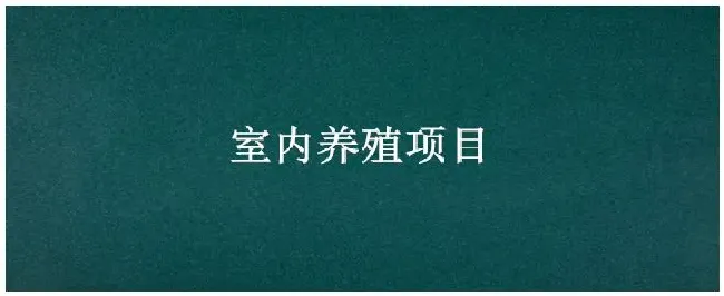 室内养殖项目 | 生活常识