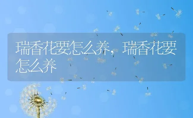 瑞香花要怎么养,瑞香花要怎么养 | 养殖常见问题