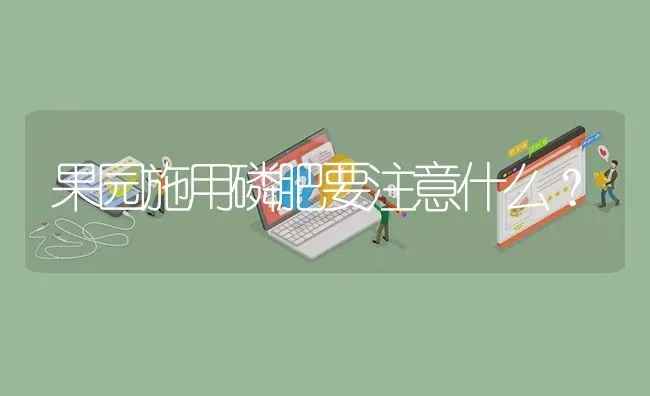 果园施用磷肥要注意什么? | 养殖问题解答