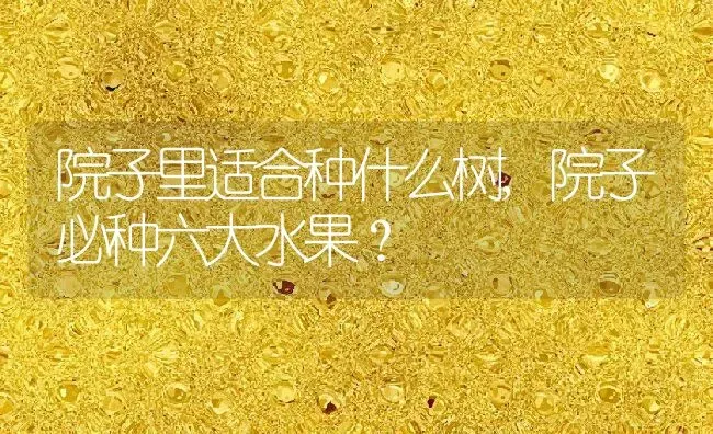 院子里适合种什么树,院子必种六大水果？ | 养殖常见问题