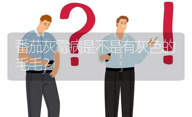 番茄灰霉病是不是有灰色的毛毛? | 养殖问题解答