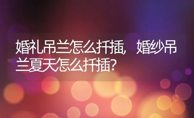 婚礼吊兰怎么扦插,婚纱吊兰夏天怎么扦插？ | 养殖常见问题