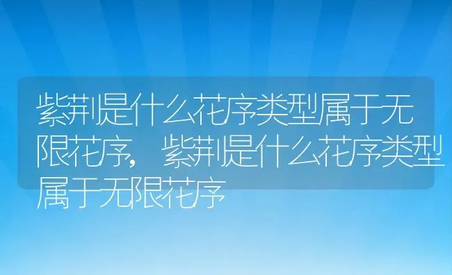 紫荆是什么花序类型属于无限花序,紫荆是什么花序类型属于无限花序 | 养殖常见问题