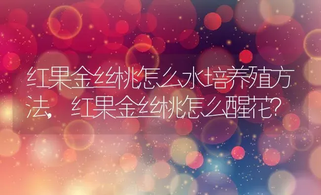 红果金丝桃怎么水培养殖方法,红果金丝桃怎么醒花？ | 养殖常见问题