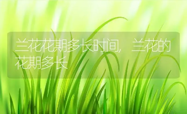野钓鲤鱼用什么饵料最好钓,鲫鱼鲤鱼通用饵料第一名？ | 养殖常见问题