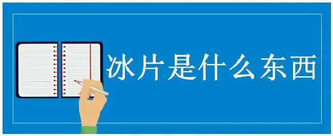 冰片是什么东西 | 科普知识