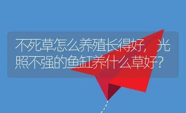 不死草怎么养殖长得好,光照不强的鱼缸养什么草好？ | 养殖常见问题