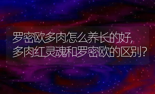 罗密欧多肉怎么养长的好,多肉红灵魂和罗密欧的区别？ | 养殖常见问题