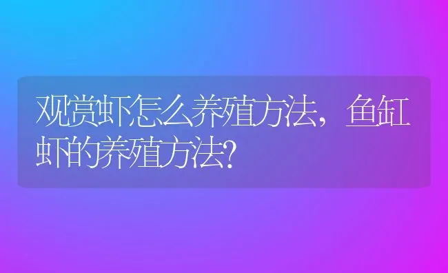 观赏虾怎么养殖方法,鱼缸虾的养殖方法？ | 养殖常见问题