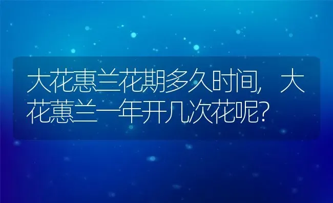 大花惠兰花期多久时间,大花蕙兰一年开几次花呢？ | 养殖常见问题