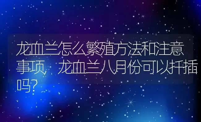 龙血兰怎么繁殖方法和注意事项,龙血兰八月份可以扦插吗？ | 养殖常见问题