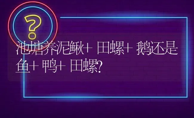 池塘养泥鳅+田螺+鹅还是鱼+鸭+田螺? | 养殖问题解答