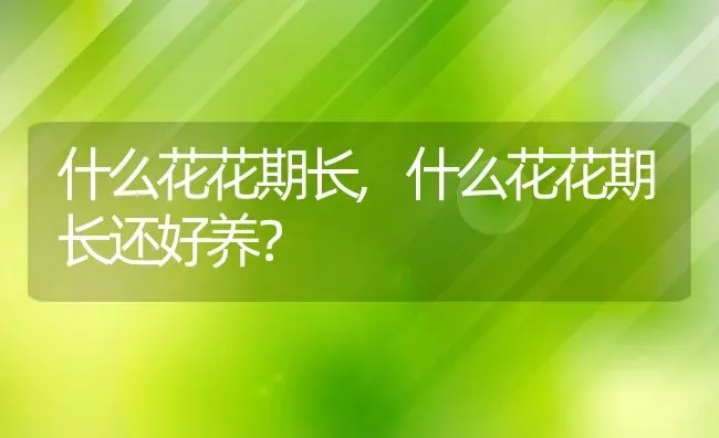 什么花花期长,什么花花期长还好养？ | 养殖常见问题