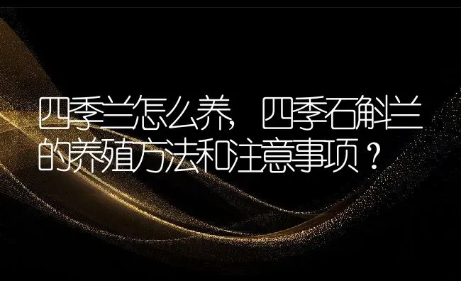 四季兰怎么养,四季石斛兰的养殖方法和注意事项？ | 养殖常见问题