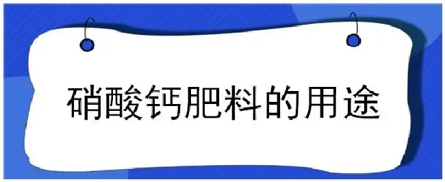 硝酸钙肥料的用途 | 生活常识