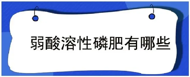 弱酸溶性磷肥有哪些 | 生活常识