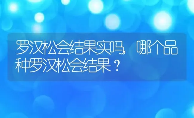 罗汉松会结果实吗,哪个品种罗汉松会结果？ | 养殖常见问题