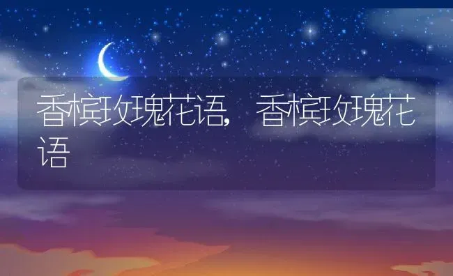 香槟玫瑰花语,香槟玫瑰花语 | 养殖常见问题
