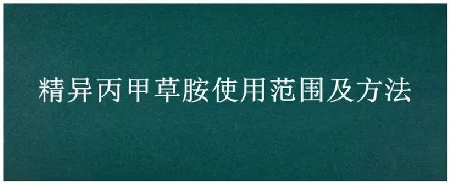 精异丙甲草胺使用范围及方法 | 农业问题