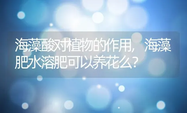 海藻酸对植物的作用,海藻肥水溶肥可以养花么？ | 养殖常见问题