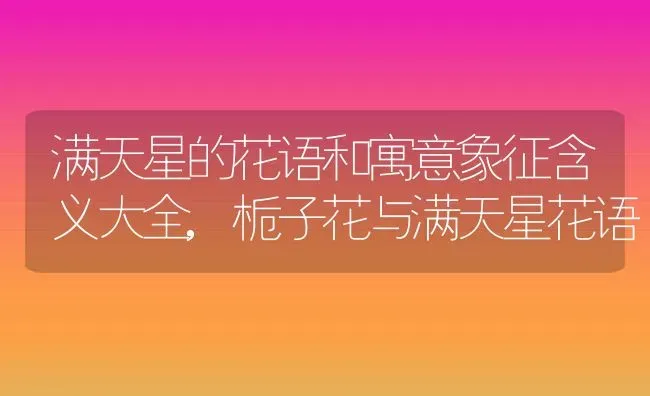 怎么养薰衣草，薰衣草的花语是什么,薰衣草四季养殖方法？ | 养殖常见问题