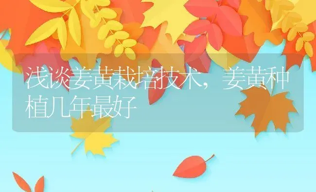 浅谈姜黄栽培技术,姜黄种植几年最好 | 养殖常见问题