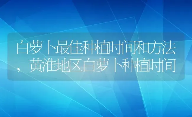 白萝卜最佳种植时间和方法,黄淮地区白萝卜种植时间 | 养殖常见问题