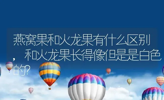 燕窝果和火龙果有什么区别,和火龙果长得像但是是白色的？ | 养殖常见问题