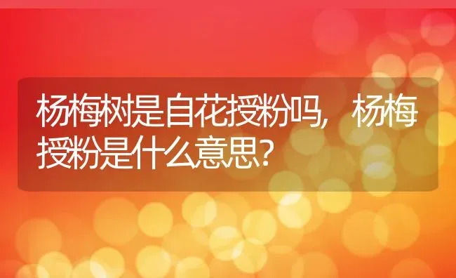 杨梅树是自花授粉吗,杨梅授粉是什么意思？ | 养殖常见问题