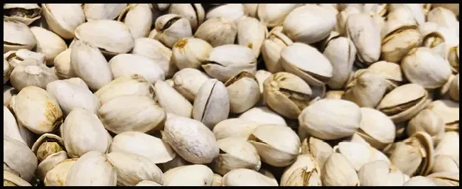果树嫁接几月份最好 | 农业问题