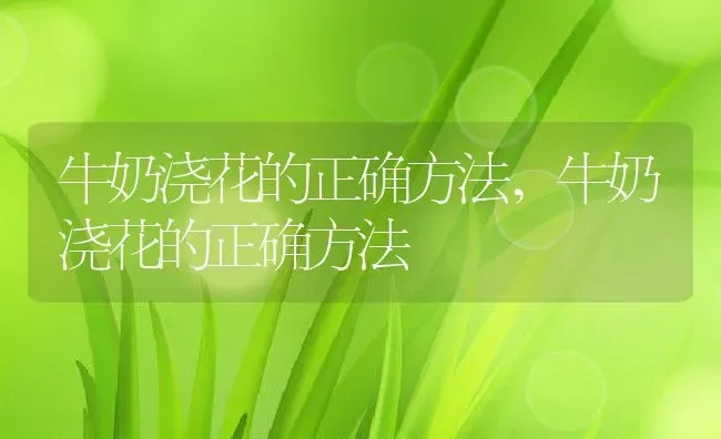 牛奶浇花的正确方法,牛奶浇花的正确方法 | 养殖常见问题