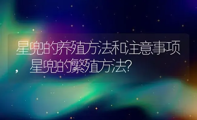 星兜的养殖方法和注意事项,星兜的繁殖方法？ | 养殖常见问题