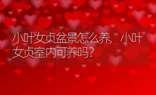 小叶女贞盆景怎么养,小叶女贞室内可养吗？ | 养殖常见问题
