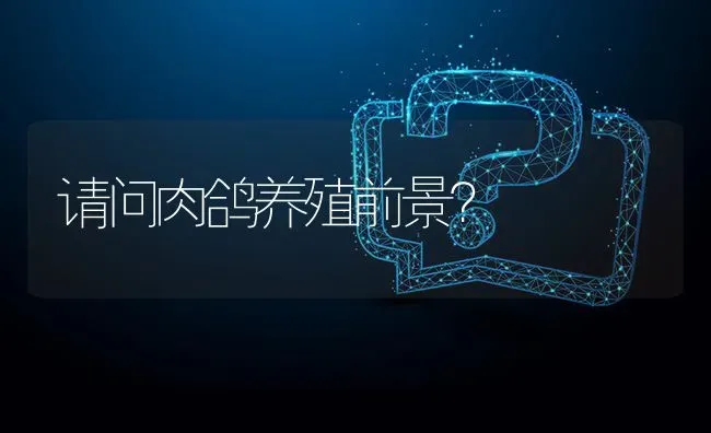 请问肉鸽养殖前景? | 养殖问题解答