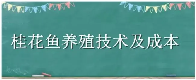 桂花鱼养殖技术及成本 | 生活常识