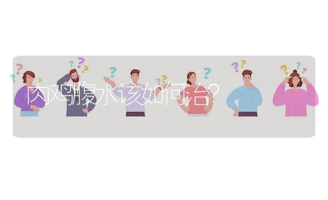 肉鸡腹水该如何治? | 养殖问题解答