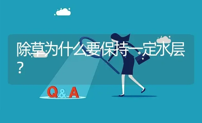 除草为什么要保持一定水层? | 养殖问题解答