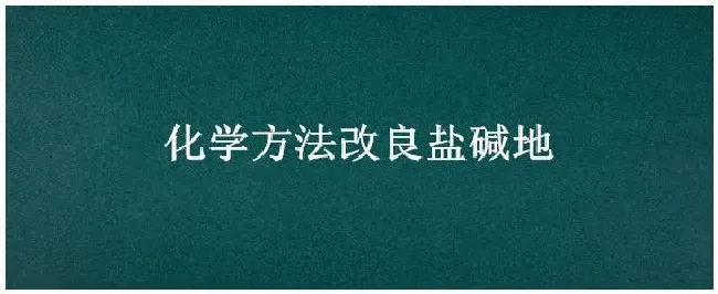化学方法改良盐碱地 | 三农答疑