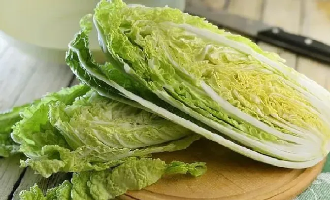 植物常识问题|种植大白菜用什么肥料最好（白菜种植方法和注意事项）