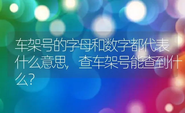 车架号的字母和数字都代表什么意思,查车架号能查到什么？ | 养殖常见问题
